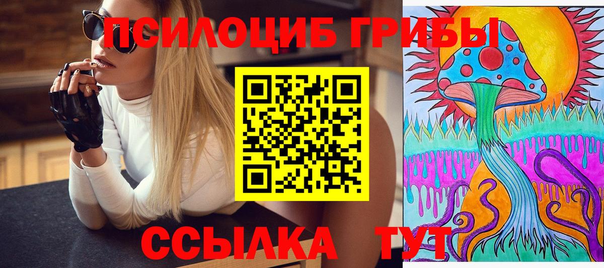 Дзержинский  Псилоцибиновые грибы Psilocybine cubensis  Вход с VPN 